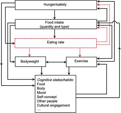 Treating Eating: A Dynamical Systems Model of Eating Disorders